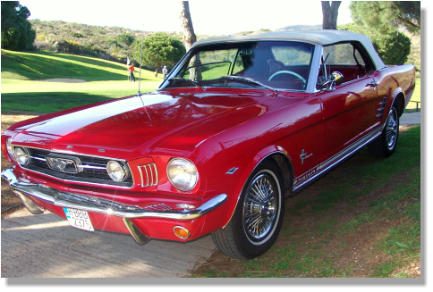 Mustang in Cabopino golf