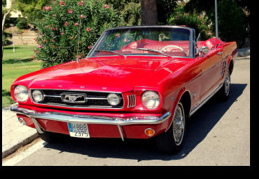 1966 Mustang for photo shootings, music videos, and weddings