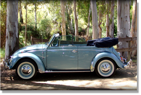 1966 Volkswagen Beetle to hire in Malaga, Marbella, Mijas