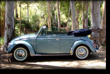 1966 Volkswagen Beetle to hire in Malaga, Marbella, Mijas